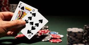 panda bet panda bet